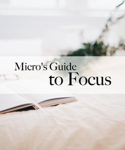 Micro's Focus Guide